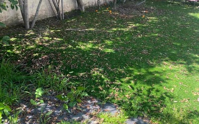 Photo of Jacob S.'s yard after getting landscaping in Malibu, CA