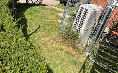 Photo of Evan J.'s yard after getting landscaping in Guilford, IN
