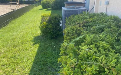 Photo of Michael A.'s yard after getting landscaping in Alva, FL
