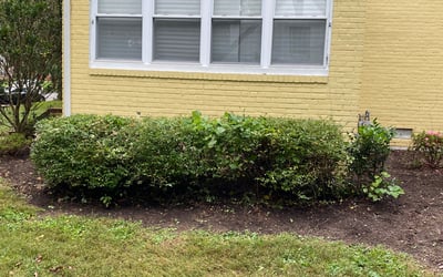 Photo of Gwen B.'s yard after getting landscaping in Sandy Hook, VA