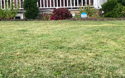 Photo of Andre J.'s yard after getting landscaping in Salem, NJ