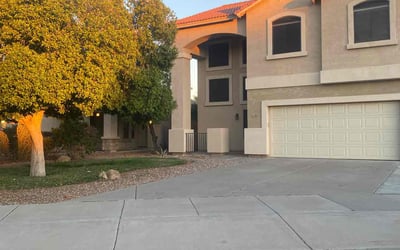 Photo of Larry L.'s yard after getting tree care in Tempe, AZ