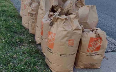 Photo of Christopher P.'s yard after getting landscaping in Malvern, PA