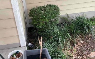 Photo of Justin C.'s yard after getting landscaping in Bellville, TX