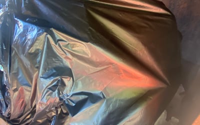 Photo of Mary A.'s yard after getting lawn care in Helena, AL