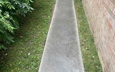 Photo of Bill W.'s yard after getting landscaping in Norge, VA