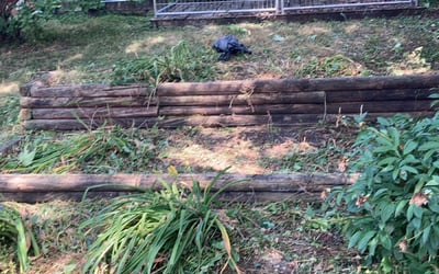 Photo of Jackie F.'s yard after getting landscaping in Hanover, MN