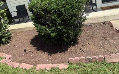 Photo of Justin M.'s yard after getting landscaping in Dumfries, VA
