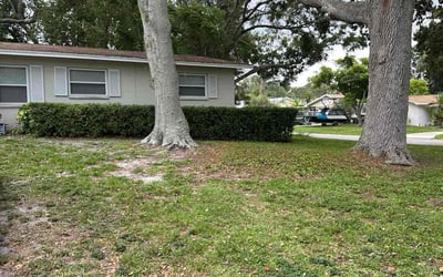 Photo of Kay P.'s yard after getting landscaping in Seminole, FL