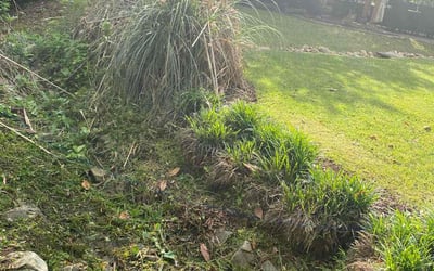 Photo of James w.'s yard after getting landscaping in Fuquay Varina, NC