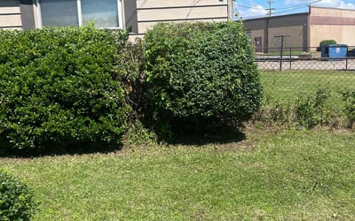 Photo of Amanda B.'s yard after getting landscaping in North Little Rock, AR