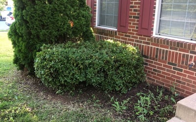 Photo of Aaron R.'s yard after getting landscaping in Nanjemoy, MD