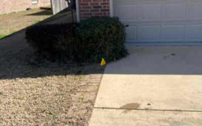 Photo of Rita C.'s yard after getting landscaping in La Place, LA