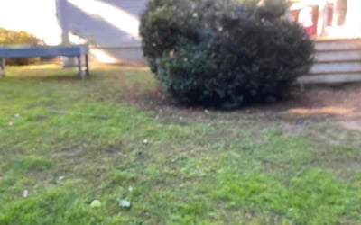 Photo of Sam C.'s yard after getting landscaping in South Easton, MA