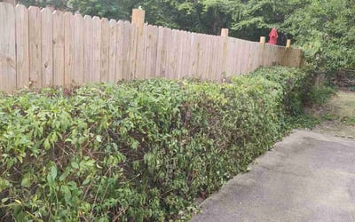 Photo of Dustin E.'s yard after getting lawn care in Oakton, VA