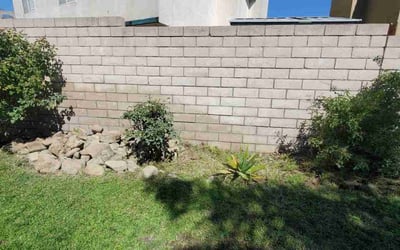 Photo of Erika P.'s yard after getting landscaping in Cathedral City, CA