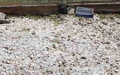 Photo of Rachel P.'s yard after getting landscaping in Crestwood, KY