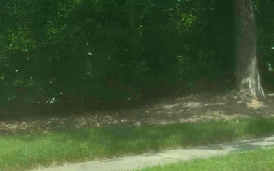 Photo of James K.'s yard after getting landscaping in Raleigh, NC