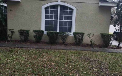 Photo of Nicole H.'s yard after getting landscaping in Plymouth, FL