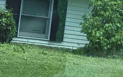 Photo of Greg S.'s yard after getting landscaping in Fallston, MD
