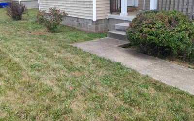 Photo of Keisha S.'s yard after getting landscaping in Louisville, OH