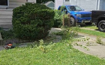 Photo of Steven R.'s yard after getting landscaping in Fort Mitchell, KY