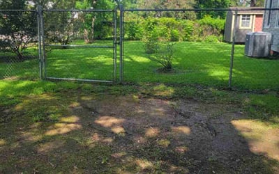 Photo of Michael H.'s yard after getting landscaping in Abbeville, LA