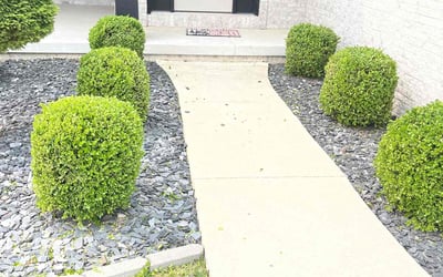 Photo of Herman J.'s yard after getting tree care in Swanton, OH