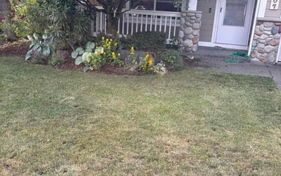 Photo of Johanna C.'s yard after getting tree care in Colville, WA