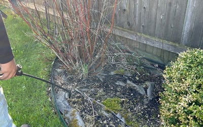 Photo of Jeffrey C.'s yard after getting landscaping in Lebanon, IN