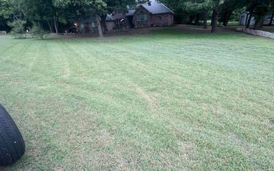 Photo of Julie A.'s yard after getting landscaping in Decatur, TX