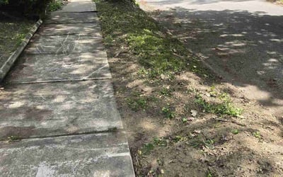 Photo of Wynchell N.'s yard after getting landscaping in Erie, PA