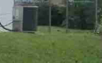 Photo of Fredrick H.'s yard after getting landscaping in Philadelphia, PA