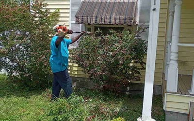 Photo of Joann T.'s yard after getting landscaping in Winter Garden, FL