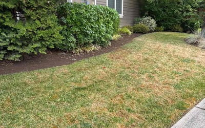 Photo of Adam B.'s yard after getting landscaping in Camas, WA