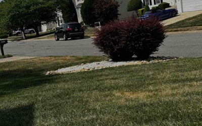 Photo of Michelle A.'s yard after getting landscaping in Riverdale, MD