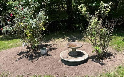 Photo of Chris L.'s yard after getting landscaping in Front Royal, VA