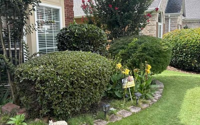 Photo of Fred E.'s yard after getting landscaping in Roswell, GA
