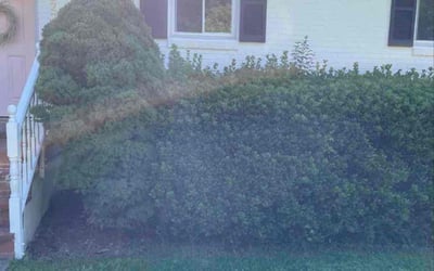 Photo of Joseph F.'s yard after getting landscaping in Purcellville, VA