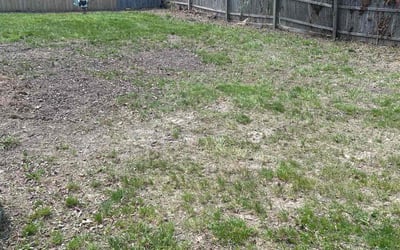 Photo of David S.'s yard after getting landscaping in Elmer, NJ
