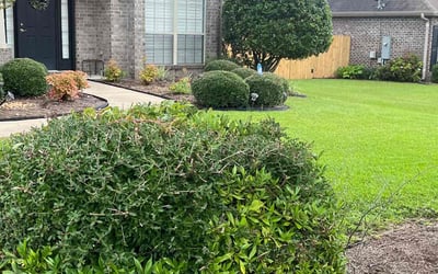 Photo of Sharon F.'s yard after getting landscaping in Century, FL