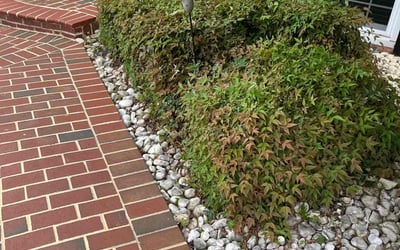 Photo of Azam k.'s yard after getting landscaping in Ijamsville, MD