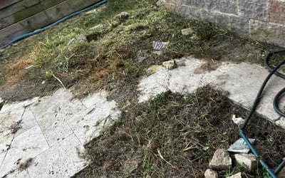 Photo of Joshua B.'s yard after getting landscaping in Houston, TX