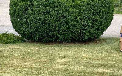 Photo of Linda L.'s yard after getting landscaping in Narragansett, RI