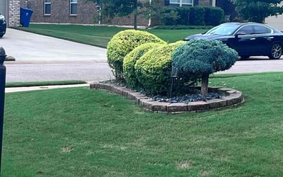 Photo of Chelly J.'s yard after getting tree care in Mcdonough, GA