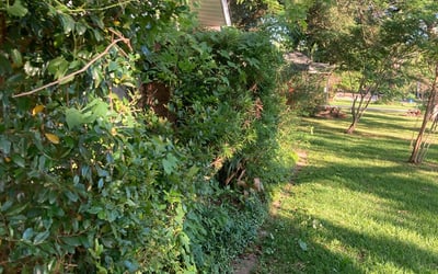 Photo of Paul G.'s yard after getting landscaping in Cat Spring, TX
