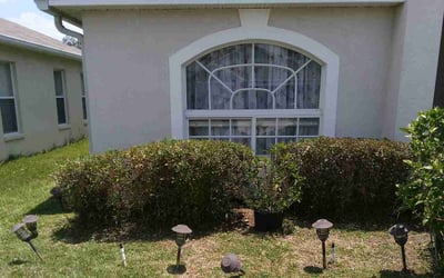 Photo of Jean L.'s yard after getting landscaping in Balm, FL