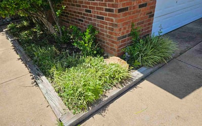 Photo of Sandy W.'s yard after getting landscaping in Bedford, TX