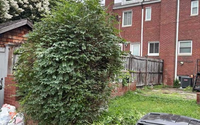 Photo of Linda H.'s yard after getting landscaping in Alexandria, VA