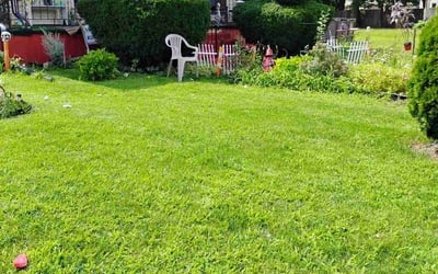 Photo of Eric B.'s yard after getting landscaping in Belvidere, IL